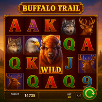 Vinyl Casino - Buffalo Trail Slot Game